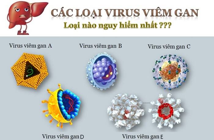 Các loại viêm gan Virus thường gặp